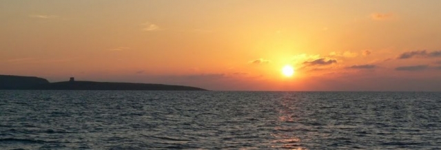  Excursión en barco 